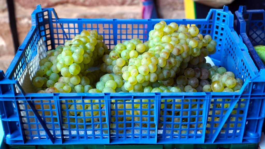 Les caisses isothermes de transport alimentaire pour collectivités et restauration : la solution efficace