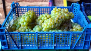 Les caisses isothermes de transport alimentaire pour collectivités et restauration : la solution efficace